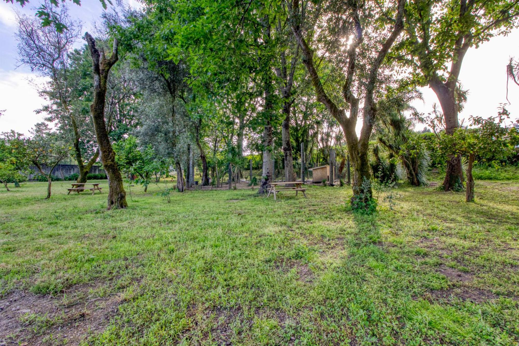 Briteiros Quinta Do Pomar Pomar Farmヴィラ エクステリア 写真